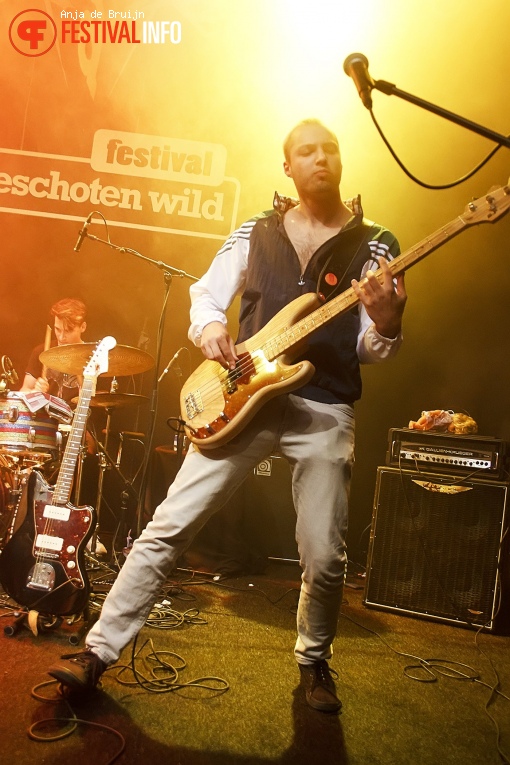 Festival Aangeschoten Wild 2018 foto