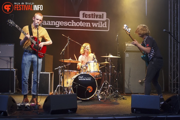 Festival Aangeschoten Wild 2018 foto