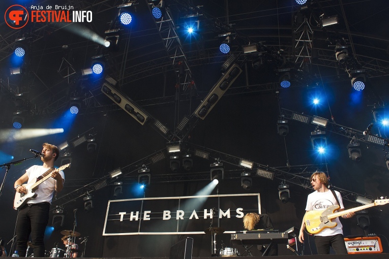 The Brahms op Central Park Festival 2018 foto