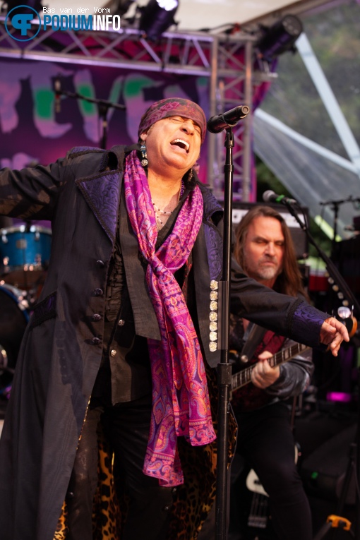 Little Steven & The Disciples of Soul op Little Steven & The Disciples of Soul - 06/07 - Openlucht Theater Amsterdamse Bos foto