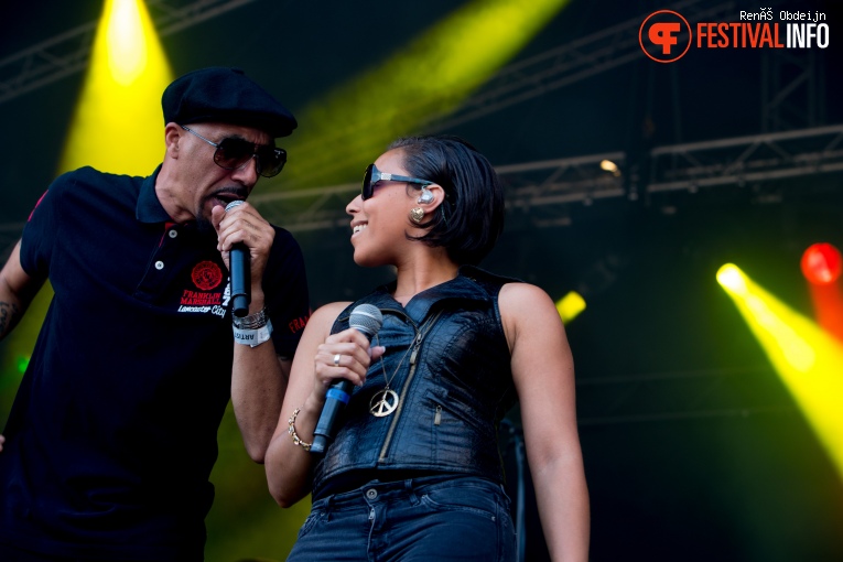 Fields Of Joy 2018 foto