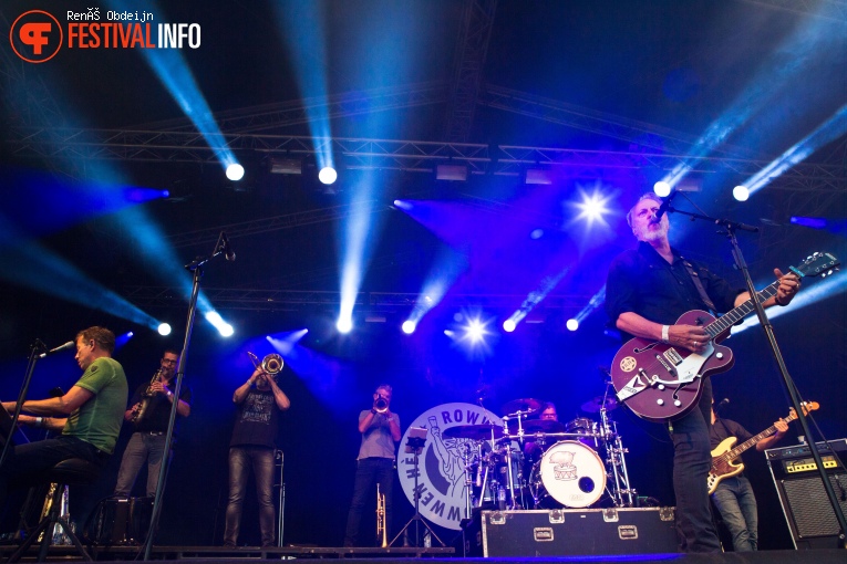 Fields Of Joy 2018 foto