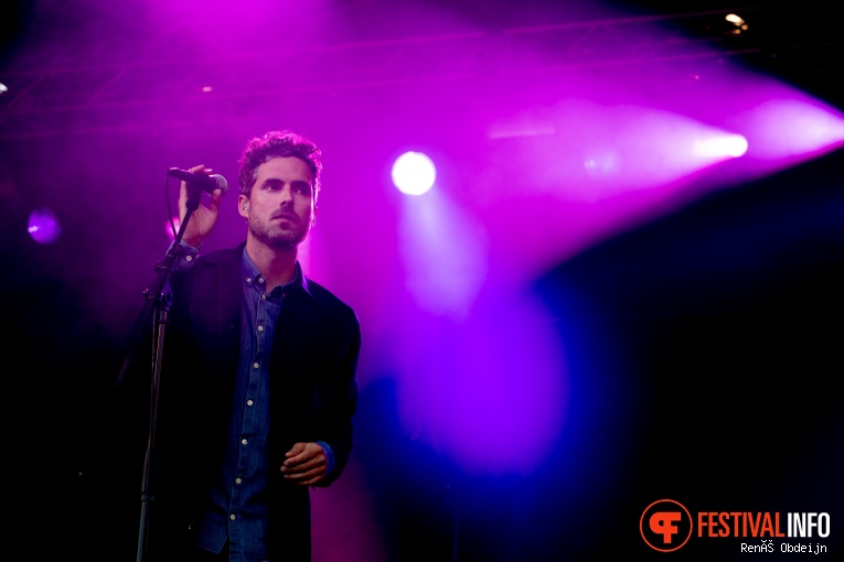 Fields Of Joy 2018 foto