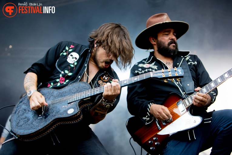 Fields Of Joy 2018 foto