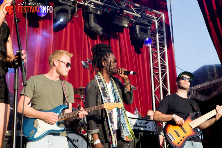 Fields Of Joy 2018 foto