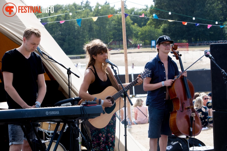 Fields Of Joy 2018 foto