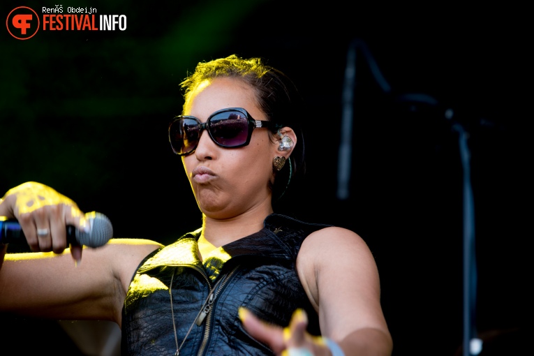 Fields Of Joy 2018 foto