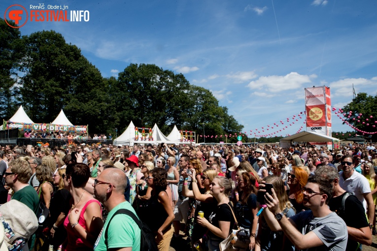 Fields Of Joy 2018 foto