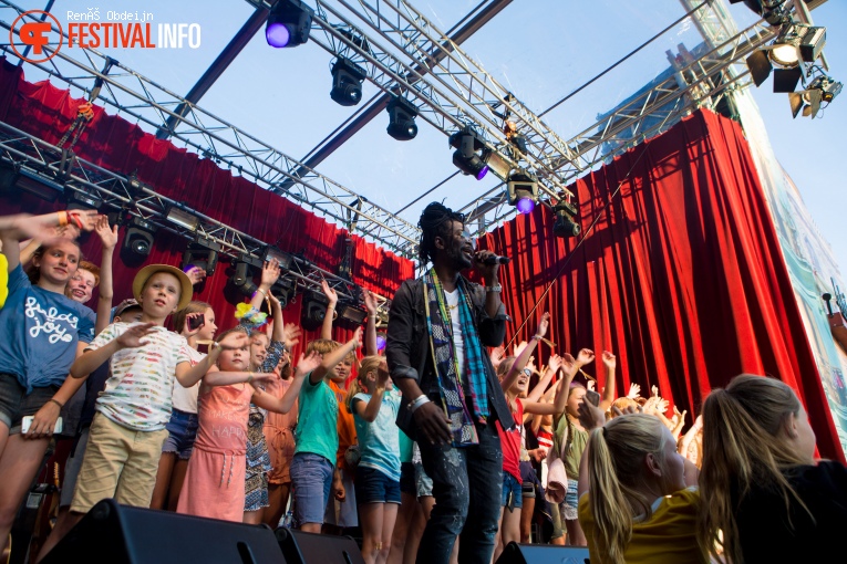 Fields Of Joy 2018 foto