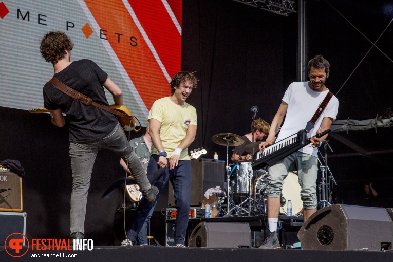 Handsome Poets op Gelderpop 2018 foto