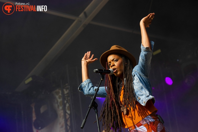 Akua Naru op Welcome To The Village 2018 - Vrijdag foto