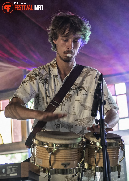 The Mauskovic Dance Band op Welcome To The Village 2018 - zondag foto