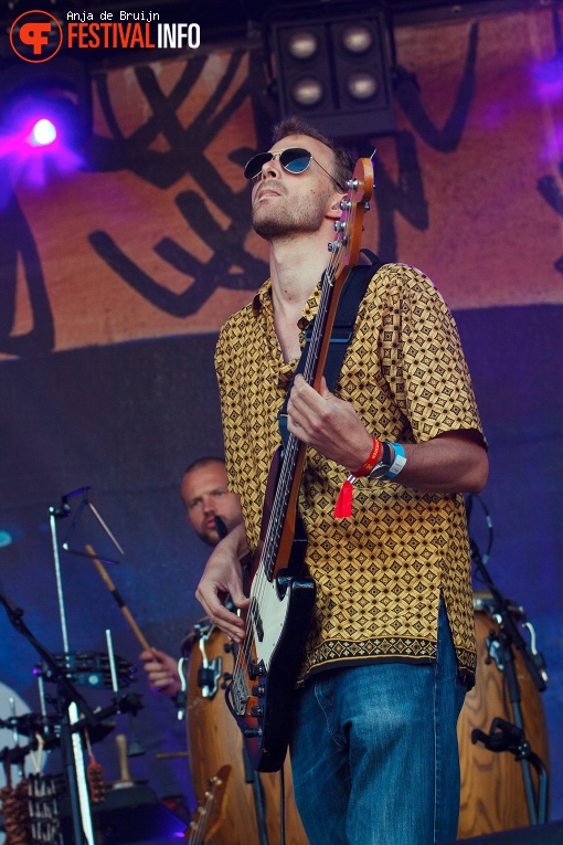 Leif de Leeuw Band op Waterpop 2018 foto