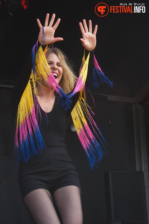 Blackbird op Waterpop 2018 foto