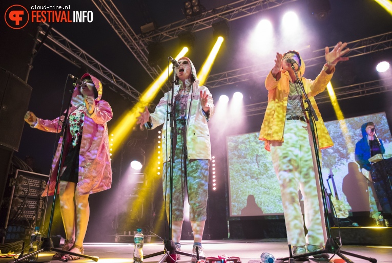 Superorganism op Paleo Festival 2018 foto