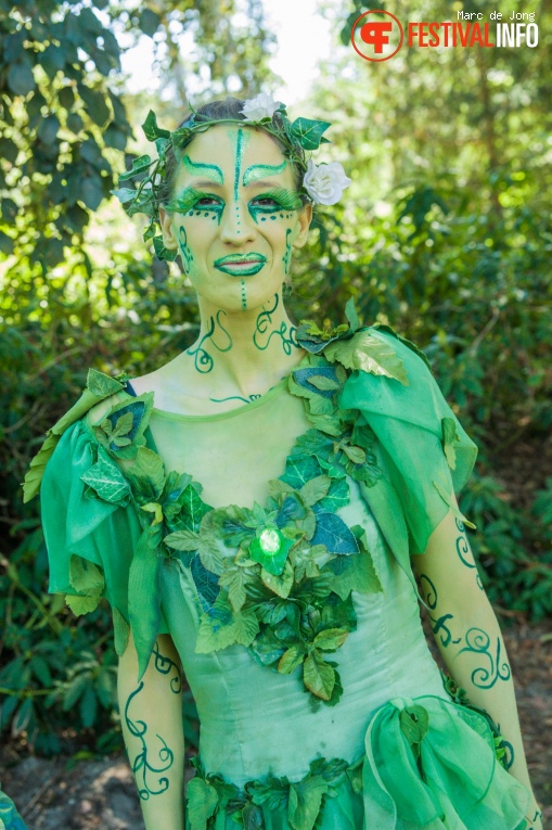 Castlefest 2018 foto