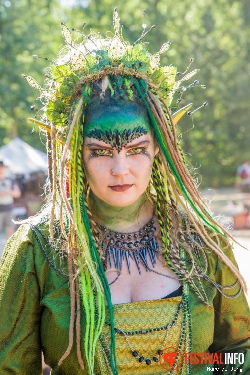 Castlefest 2018 foto