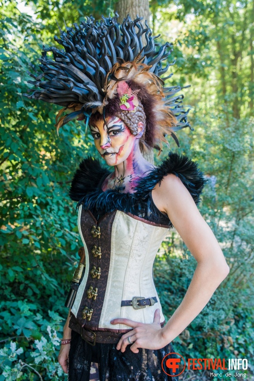 Castlefest 2018 foto