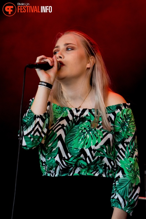 7Tools op Huntenpop 2018 foto