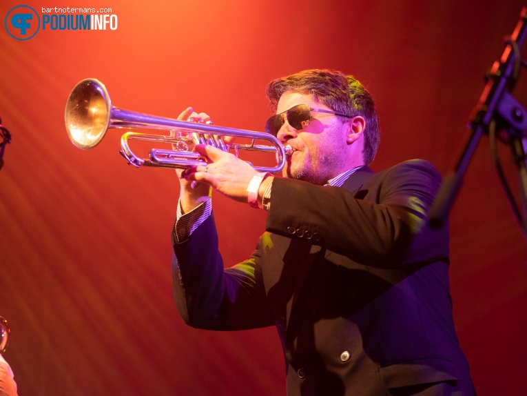 Fat Freddy's Drop op Fat Freddy's Drop - 15/08 - 013 foto