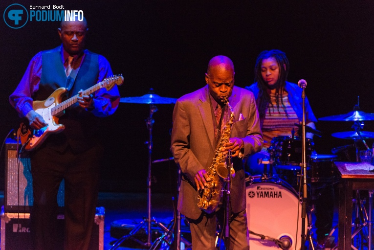 Maceo Parker op Maceo Parker - 07/11 - Carré foto