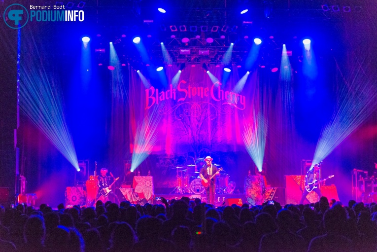 Black Stone Cherry op Black Stone Cherry - 10/11 - 013 foto