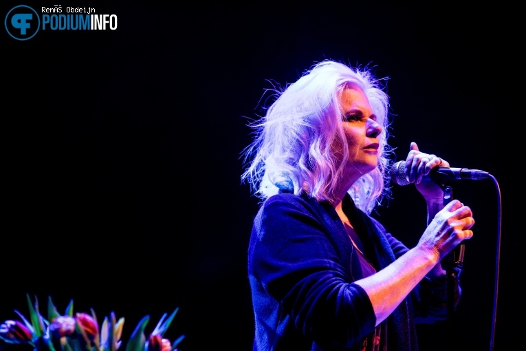 Cowboy Junkies op Cowboy Junkies - 20/11 - Paard foto