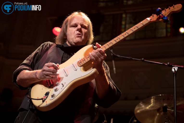 Walter Trout op Walter Trout - 23/11 - Paradiso foto
