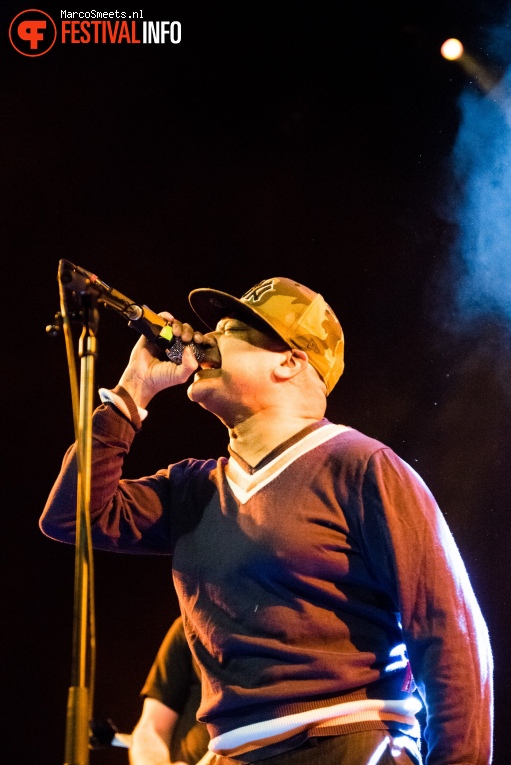 Foto Green Lizard op Come as you are 2018