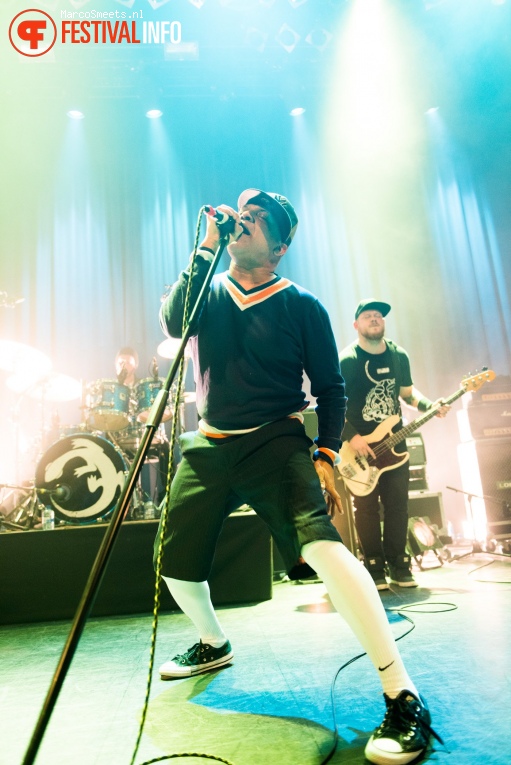 Foto Green Lizard op Come as you are 2018