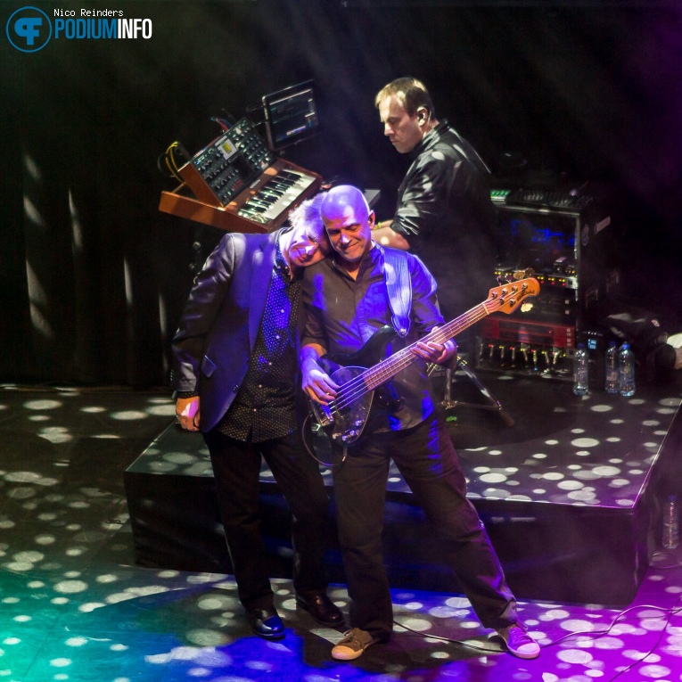IQ op IQ - 15/12 - Boerderij foto