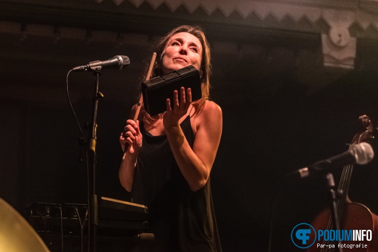 Foto Spinvis op Spinvis - 19/12 -Paradiso