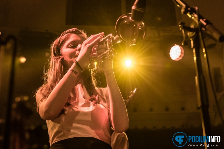 Spinvis op Spinvis - 19/12 -Paradiso foto