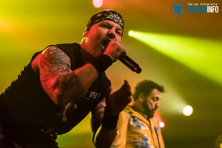 Foto De Heideroosjes op De Heideroosjes - 26/01 - Melkweg