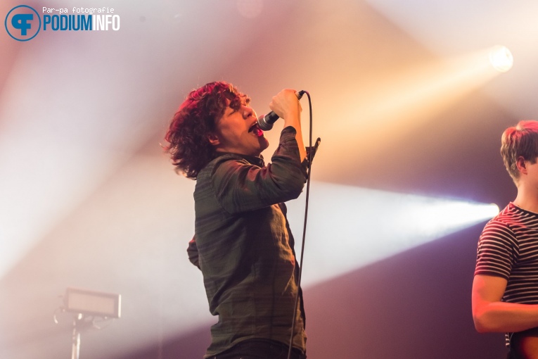 Foto Heideroosjes op De Heideroosjes - 26/01 - Melkweg