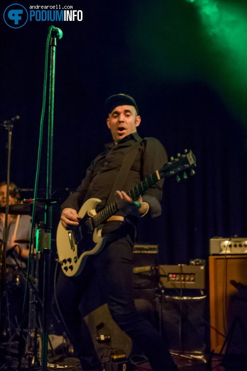 The Pheromones op The Pheromones - 30/01 - Paradiso foto