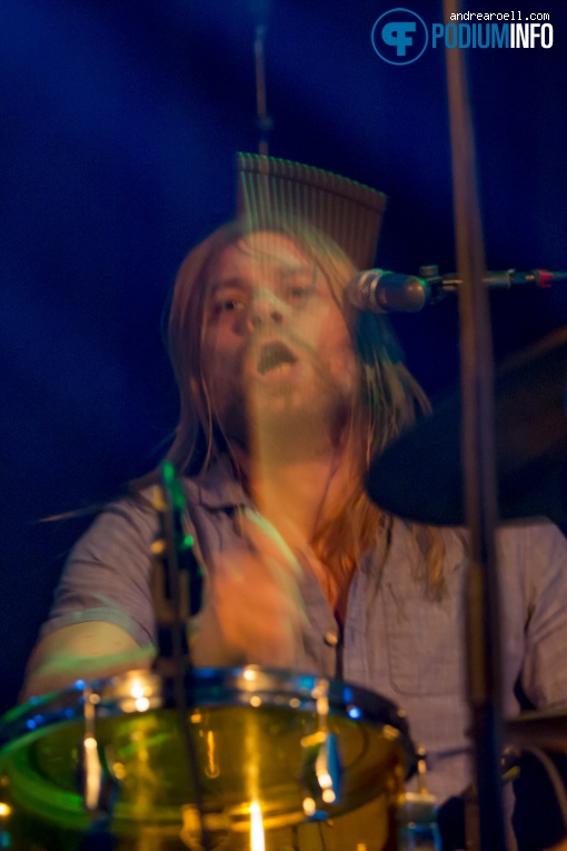 The Pheromones op The Pheromones - 30/01 - Paradiso foto