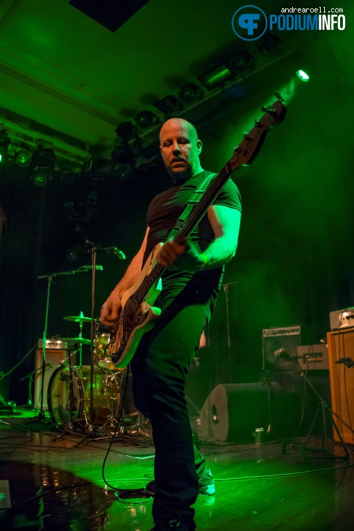 The Pheromones op The Pheromones - 30/01 - Paradiso foto