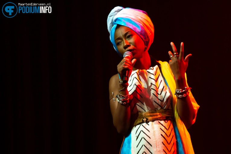 Fatoumata Diawara op Fatoumata Diawara - 07/02 - Paard foto