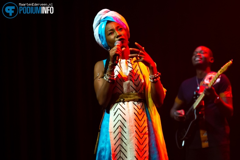 Fatoumata Diawara op Fatoumata Diawara - 07/02 - Paard foto