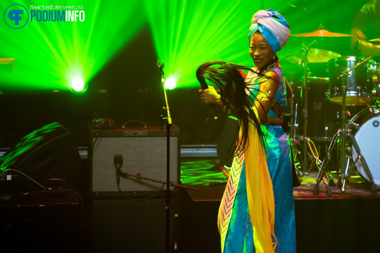 Fatoumata Diawara op Fatoumata Diawara - 07/02 - Paard foto