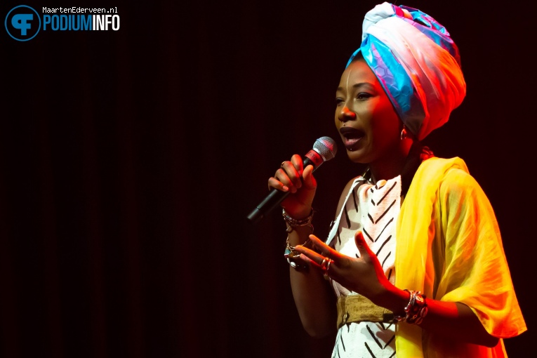 Fatoumata Diawara op Fatoumata Diawara - 07/02 - Paard foto