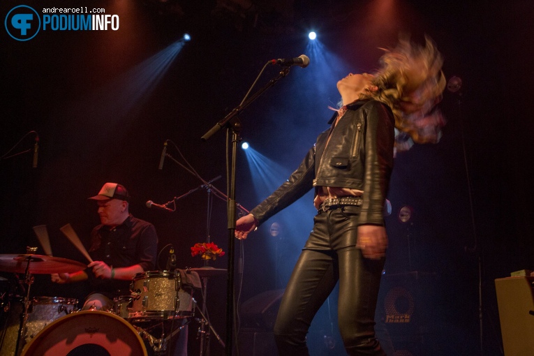 Foto Blackbird op Blackbird - 07/03 - Paradiso