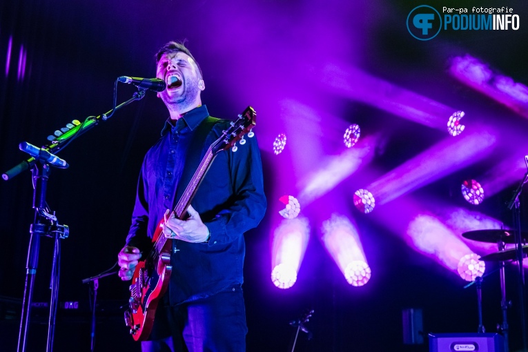 White Lies op White Lies - 21/04 - Paard foto