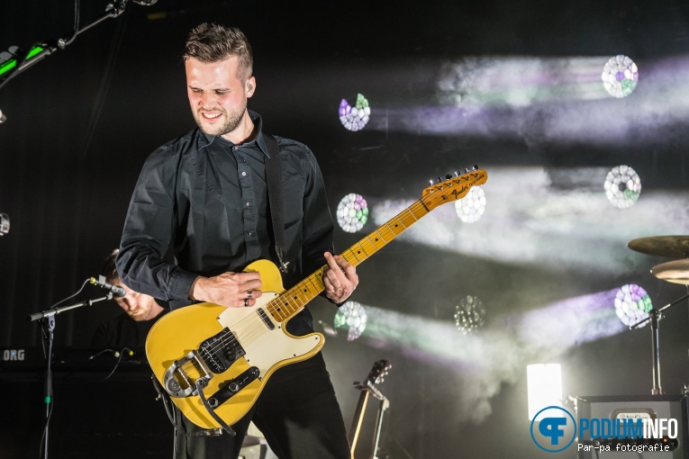 White Lies op White Lies - 21/04 - Paard foto