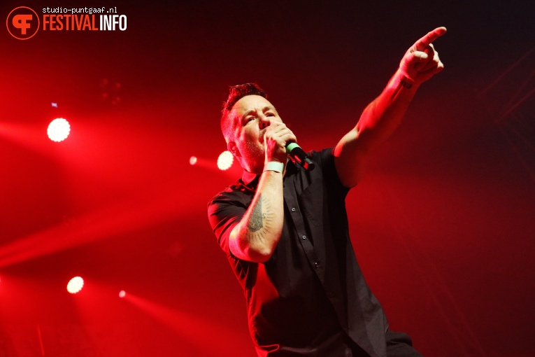 Dropkick Murphys op Groezrock 2019 foto