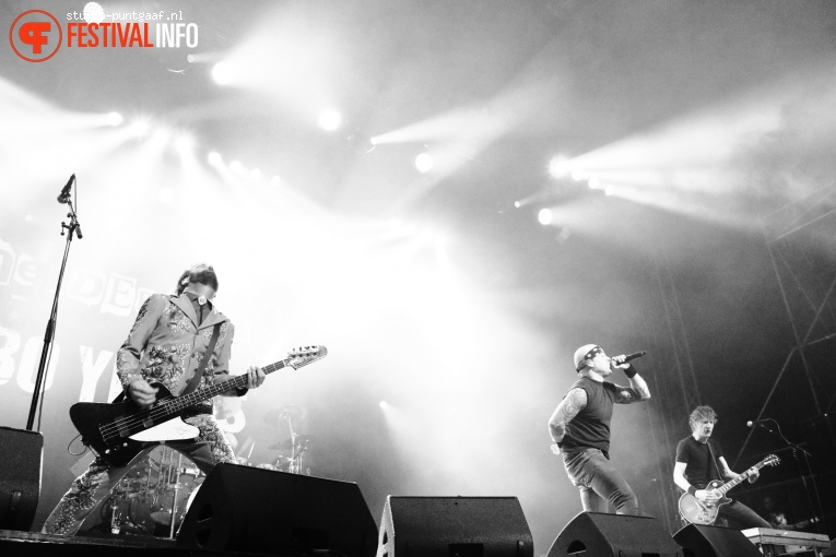 Heideroosjes op Groezrock 2019 foto
