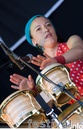 La Troba Kung-Fu op Bevrijdingsfestival Utrecht 2008 foto