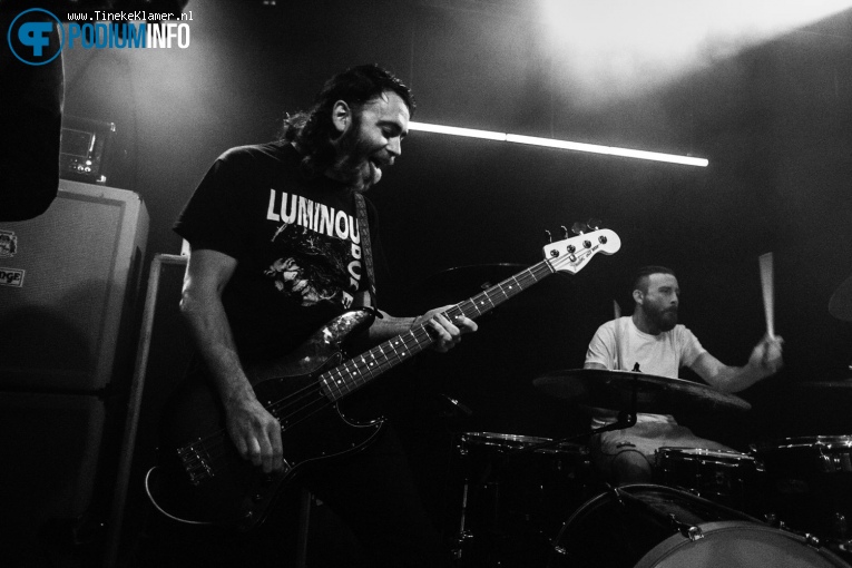 Pigs Pigs Pigs Pigs Pigs Pigs Pigs op Pigs Pigs Pigs Pigs Pigs Pigs Pigs - 02/05 - Cinetol foto