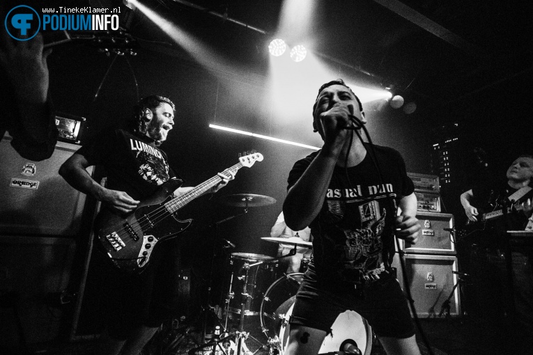 Pigs Pigs Pigs Pigs Pigs Pigs Pigs op Pigs Pigs Pigs Pigs Pigs Pigs Pigs - 02/05 - Cinetol foto
